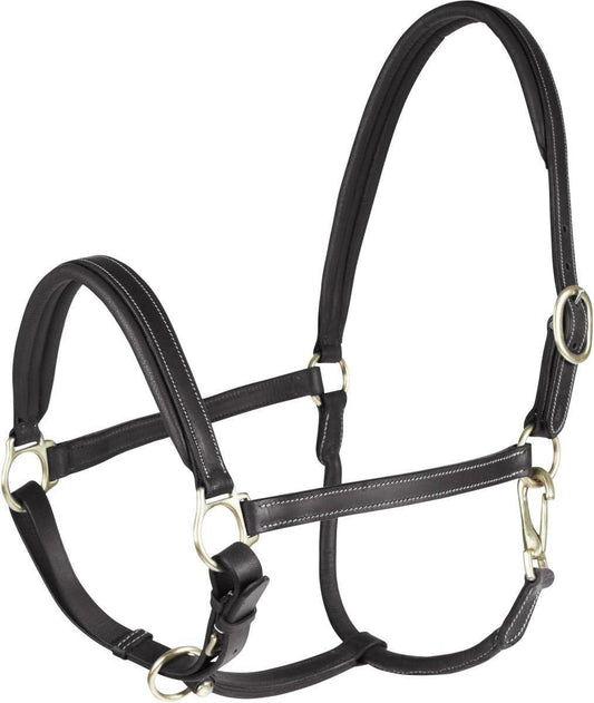 HORZE - LARGO LEATHER HALTER 22136 - BL -F - City N Country